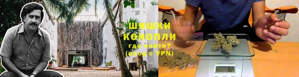 PSILOCYBIN Лабытнанги