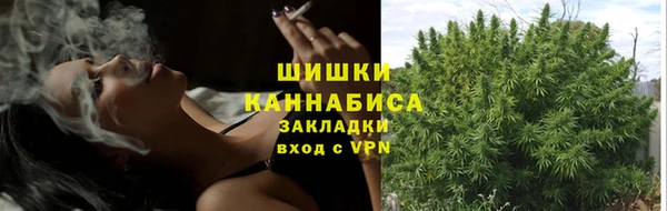 PSILOCYBIN Лабытнанги