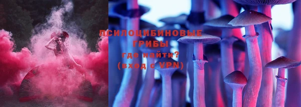 PSILOCYBIN Лабытнанги
