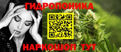 дмт Гатчина