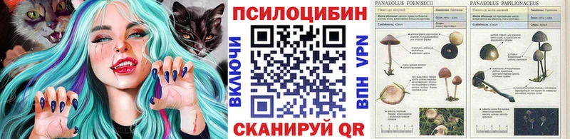 Галлюциногенные грибы MAGIC MUSHROOMS  Нефтекамск 