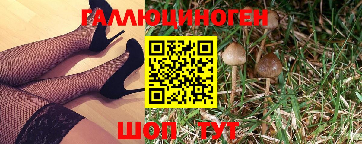 Галлюциногенные грибы Cubensis Нефтекамск