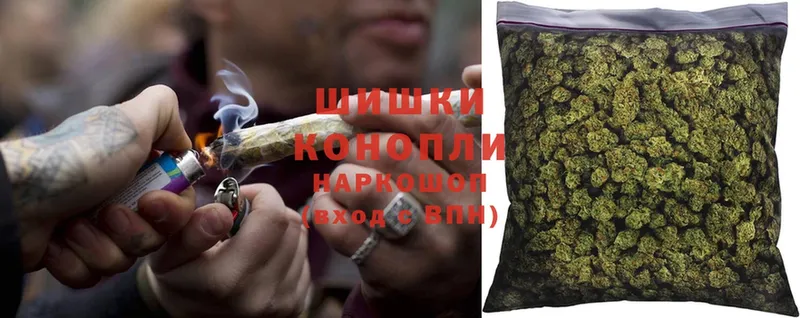 Бошки марихуана THC 21%  Нефтекамск 